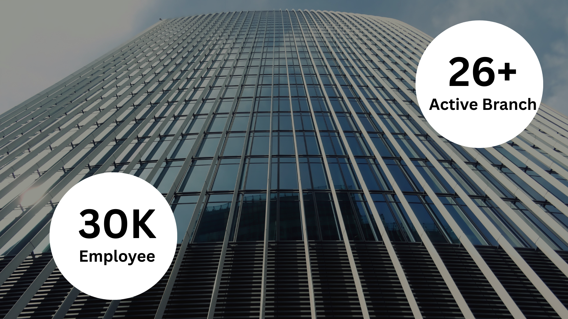 Black and Yellow Minimalist Corporate Digital Marketing Presentation (3)